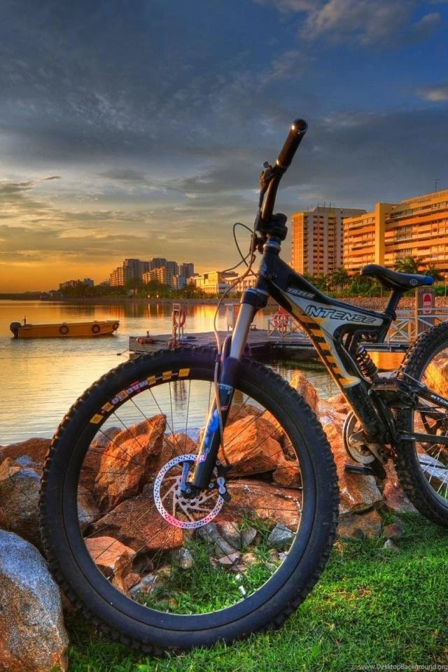 Cool Mobile Hd Wallpapers