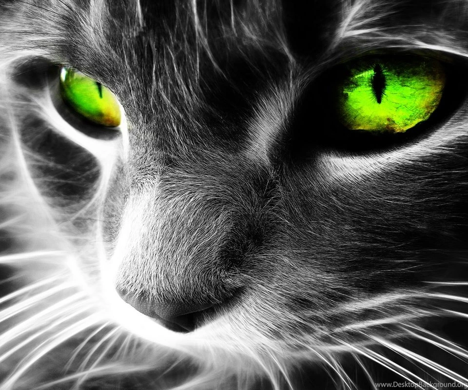 Cool Mobile Wallpapers Hd   HD Wallpapers And Pictures