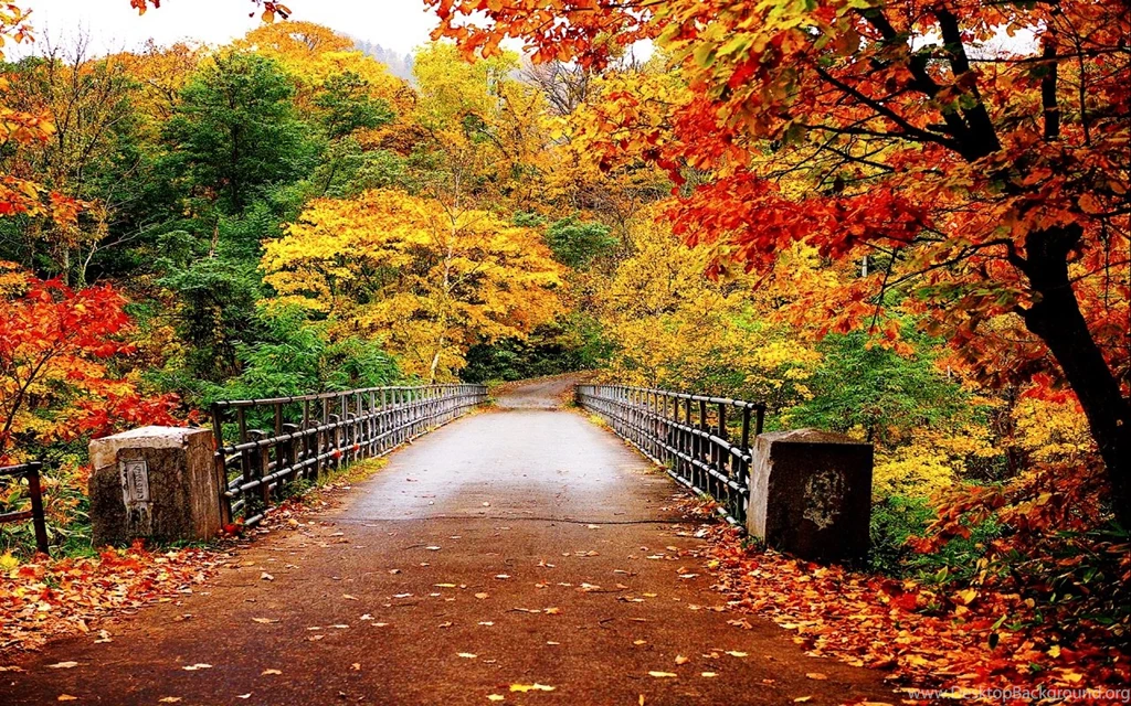 Autumn Wallpapers