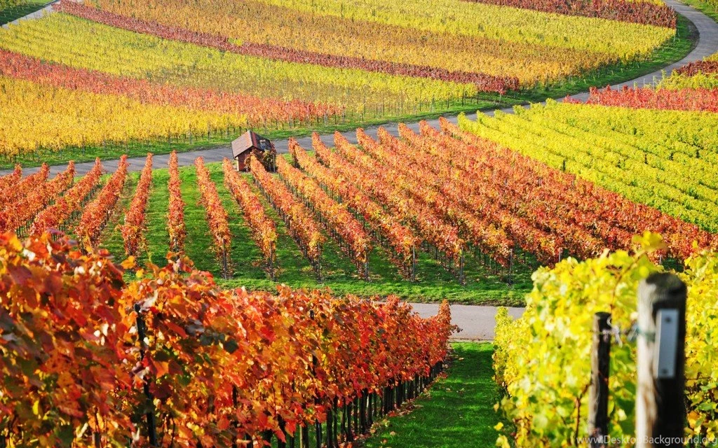 Wallpapers Desktop Nature Autumn Wallpapers