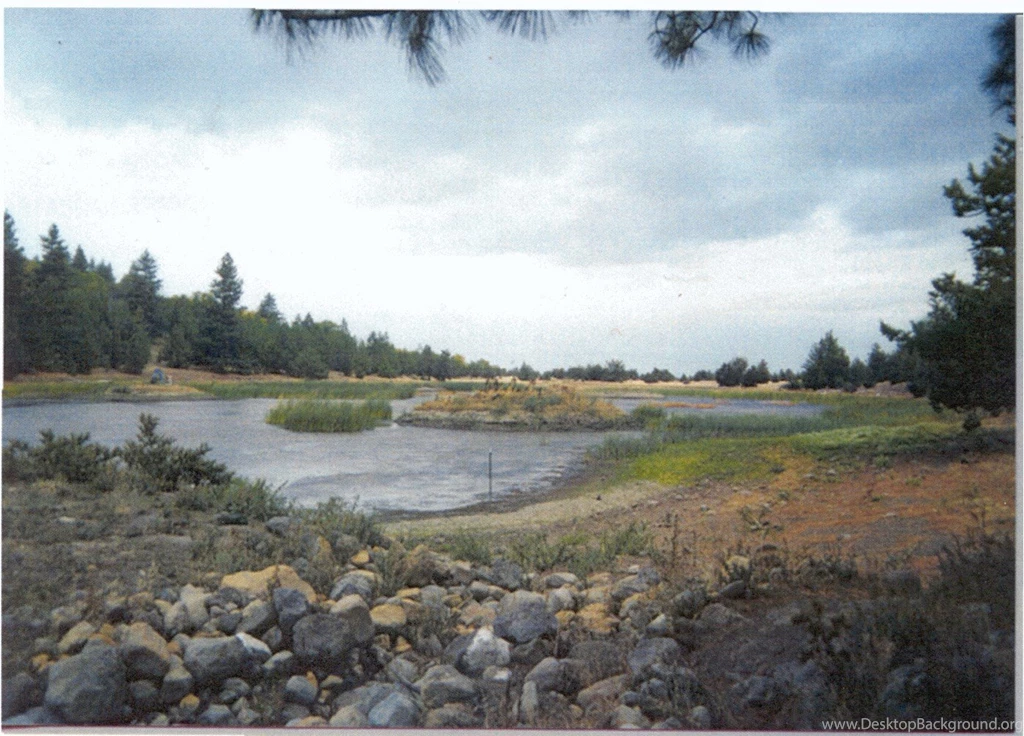 Yreka Fish & Wildlife Office