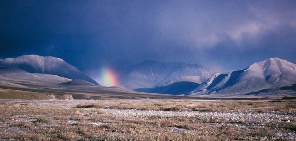 Pres. Obama Recommends Full Protection For The Arctic National ...
