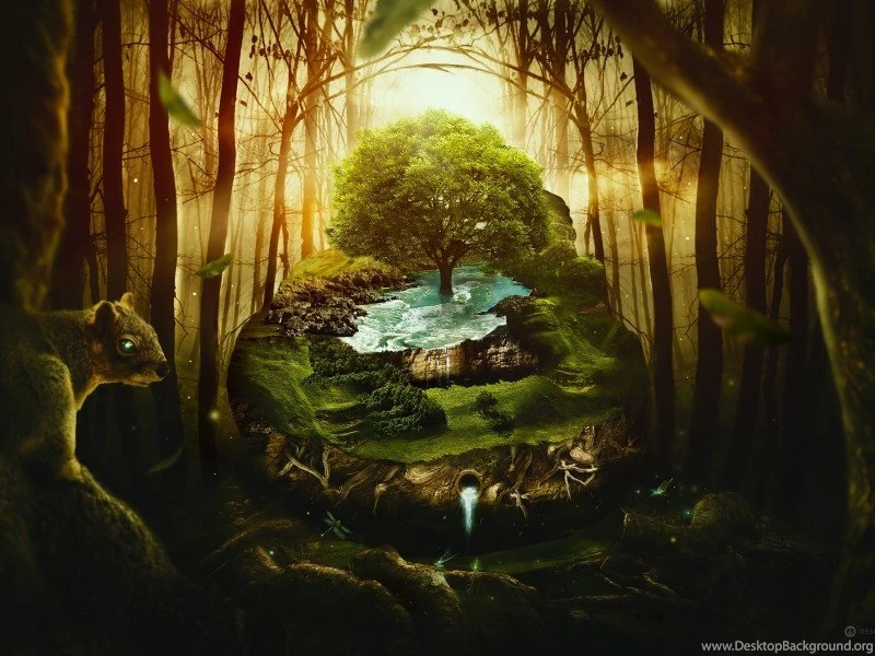 Download Creative Jungle Wildlife Wallpapers & Backgrounds Free ...