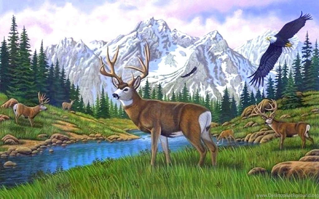 Deer: Majesty Animals Deer Wildlife Love Seasons Draw Paint ...