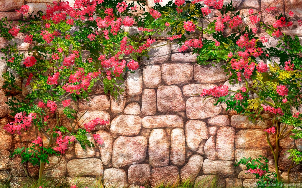 Wall Wallpapers Collection (35+)