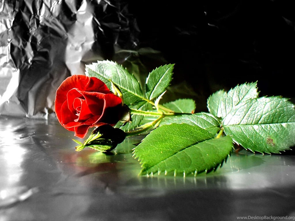 Desktop Wallpapers · Gallery · Nature · Florist Designed Flowers ...