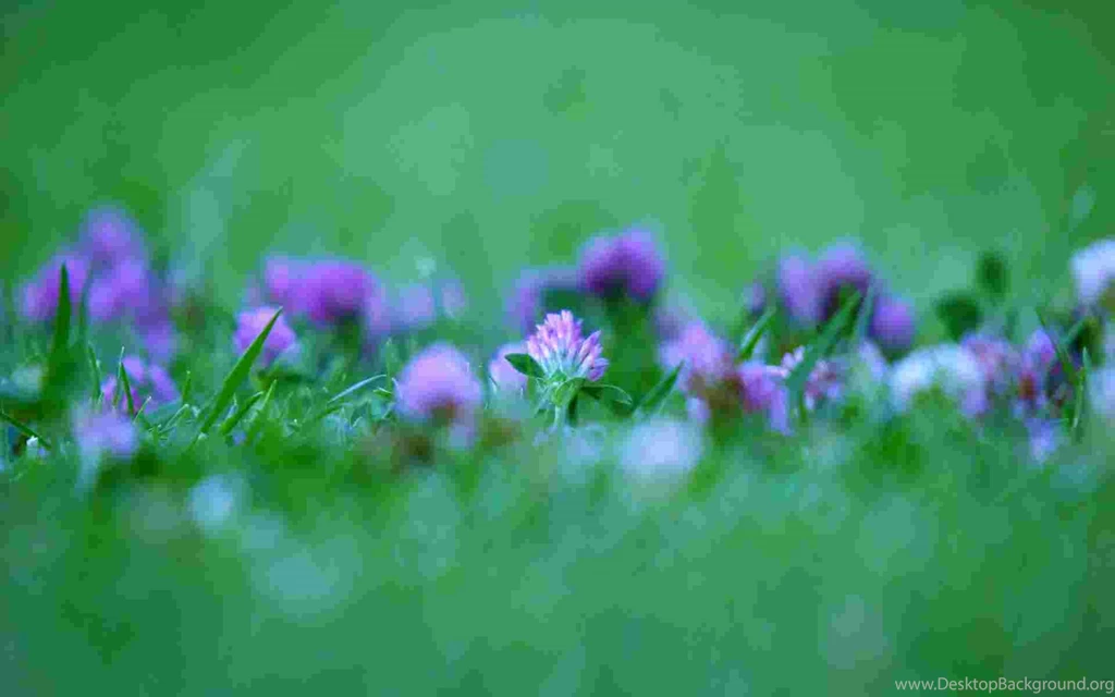 Hd Wallpapers For Windows 7 Laptop Nature Widescreen Ultimate Free ...