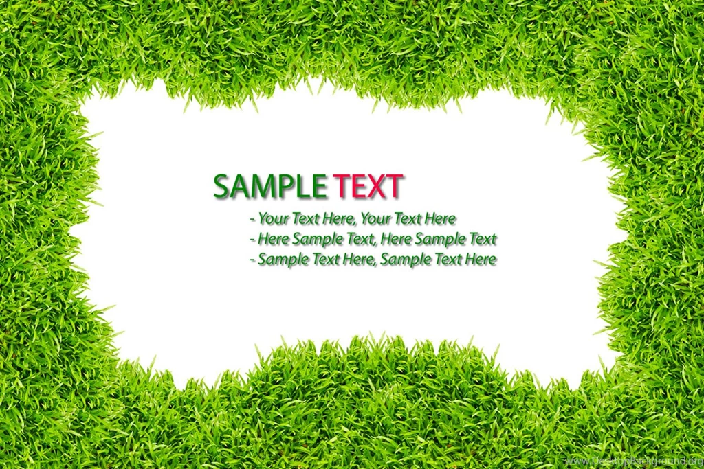Grass Wallpapers Designs