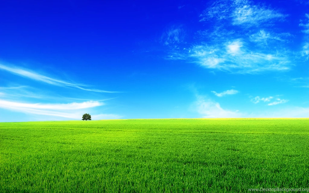 Summer landscape pictures