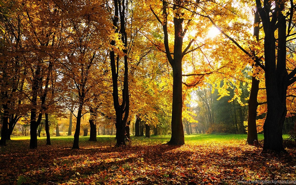 Nature Widescreen Wallpapers Desktop Nature Full Hd Wallpapers ...