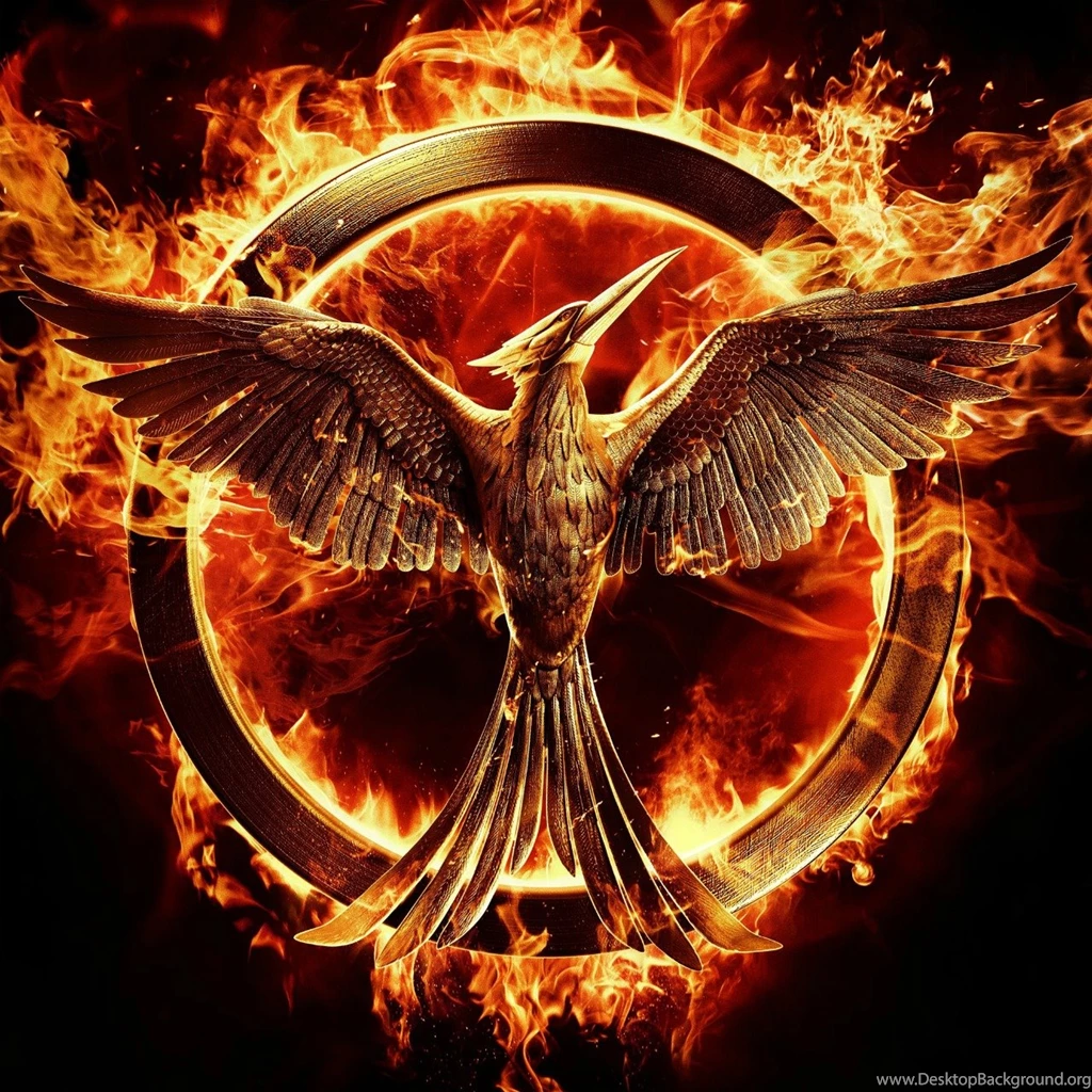 Mockingjay The Hunger Games Wallpapers HD