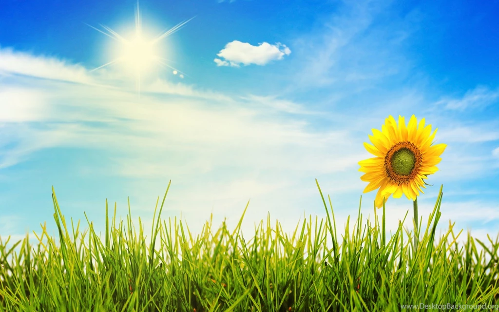 Free Sunny Day Wallpapers By Paul Senna On FL