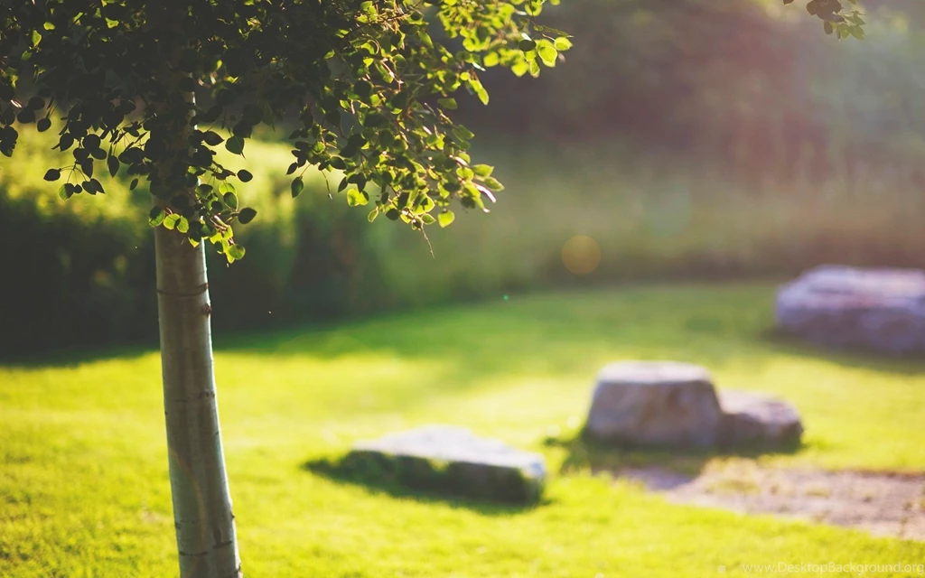 899416 Sunny Day Wallpapers