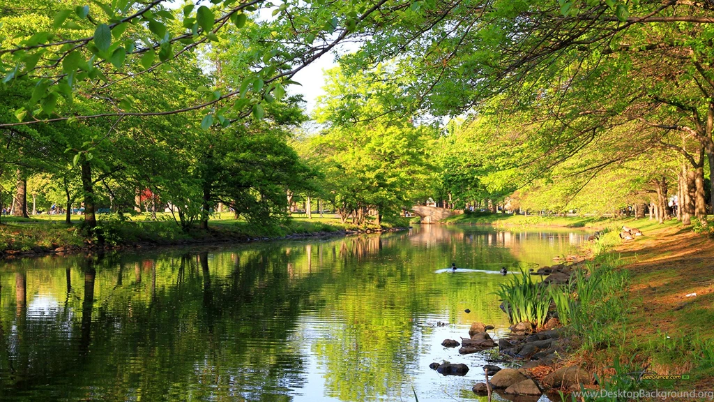 Summer Season HD Wallpapers