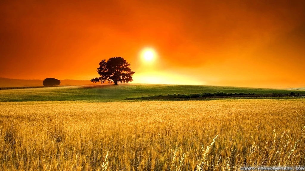 Sunny Summer Day
