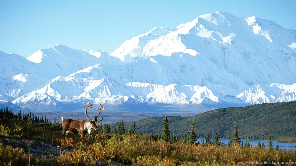 Free Alaska Wallpapers HD Wallpapers