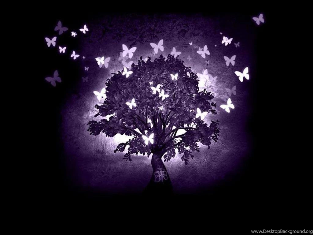 Wallpapers Purple Butterflies 1024x768