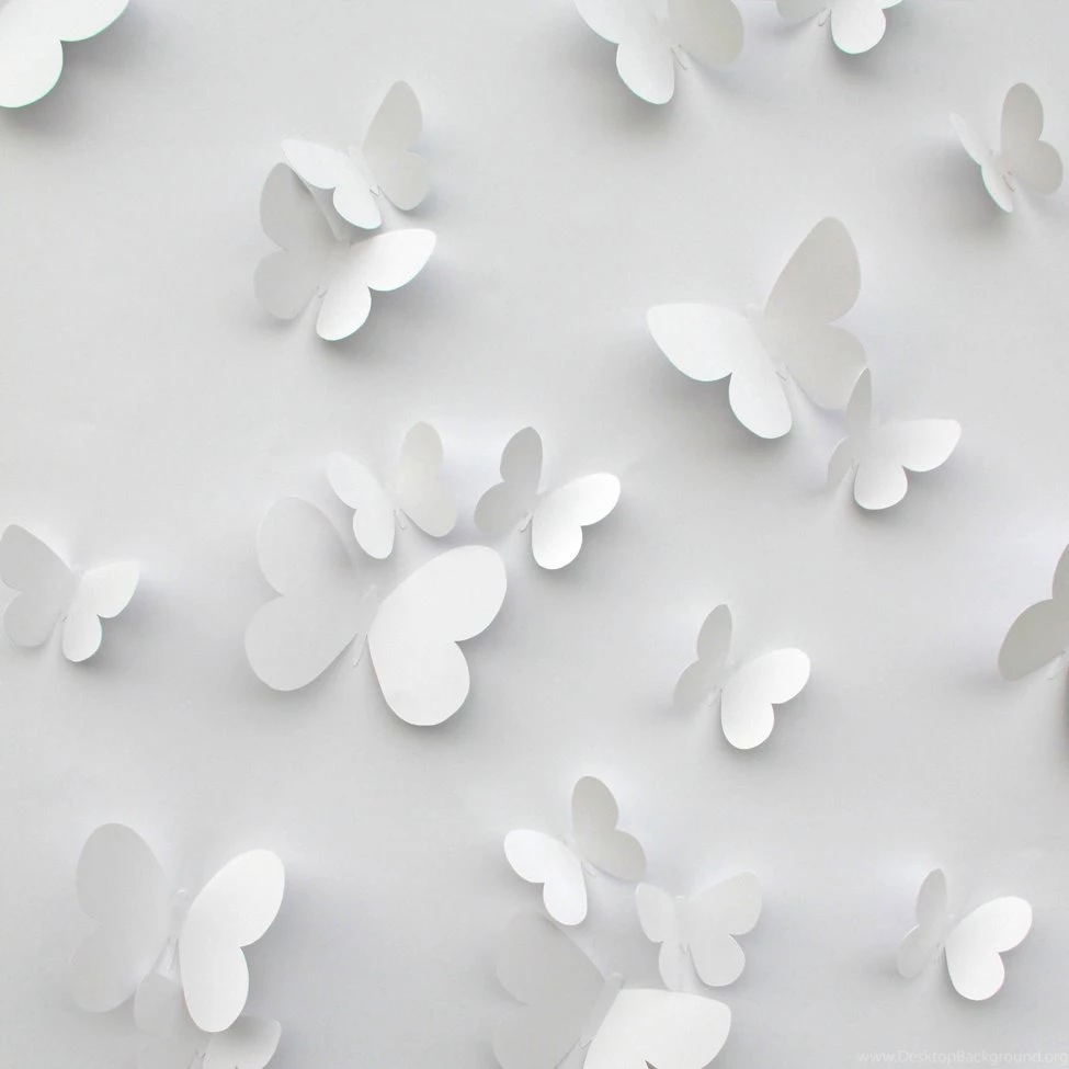 Feathers Grey Wallpapers