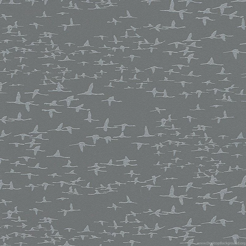 Life 3 Birds Grey Wallpapers
