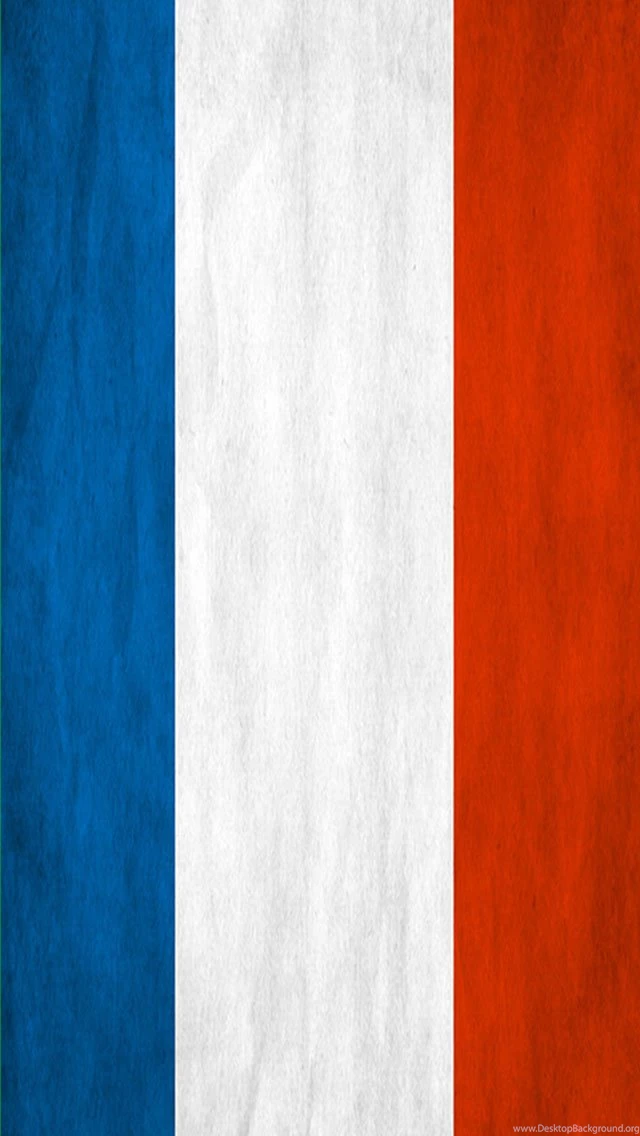 Apple iPhone 5 Decal Skin   Flag Of France