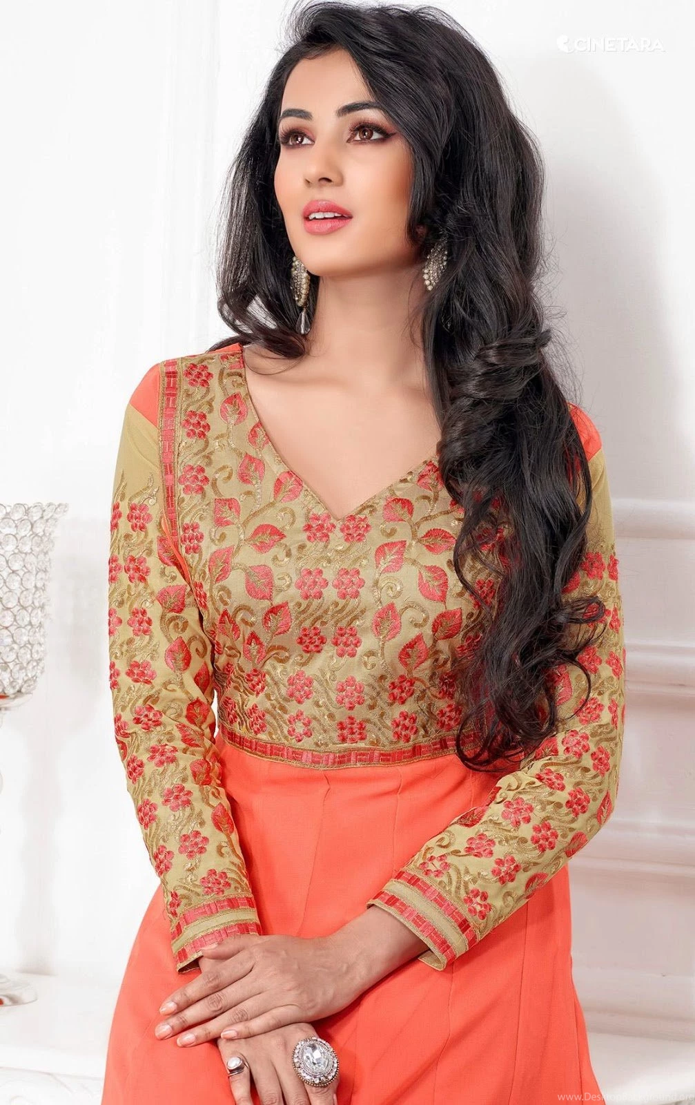 Sonal Chauhan Hd Wallpapers New Free Hd Wallpapers