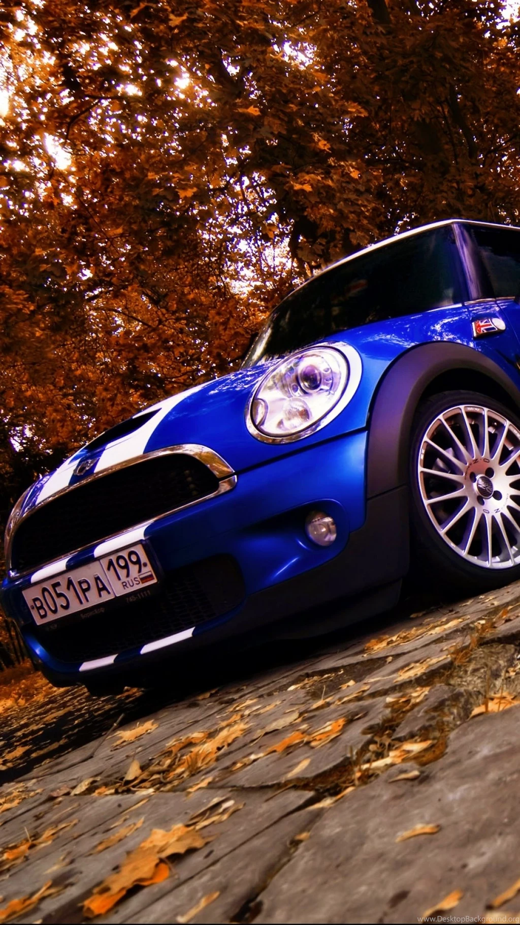 iPhone 5   Vehicles/Mini Cooper   Wallpapers ID: 577100