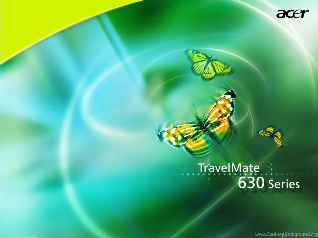 1024x768 Acer Butterfly Desktop PC And Mac Wallpapers