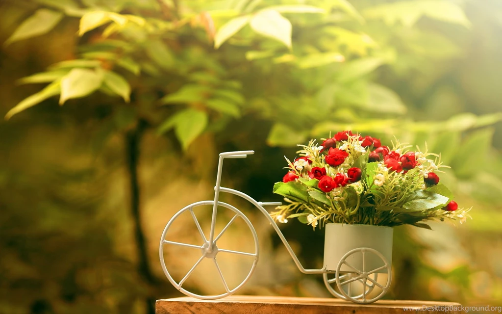 Wallpapers Flower