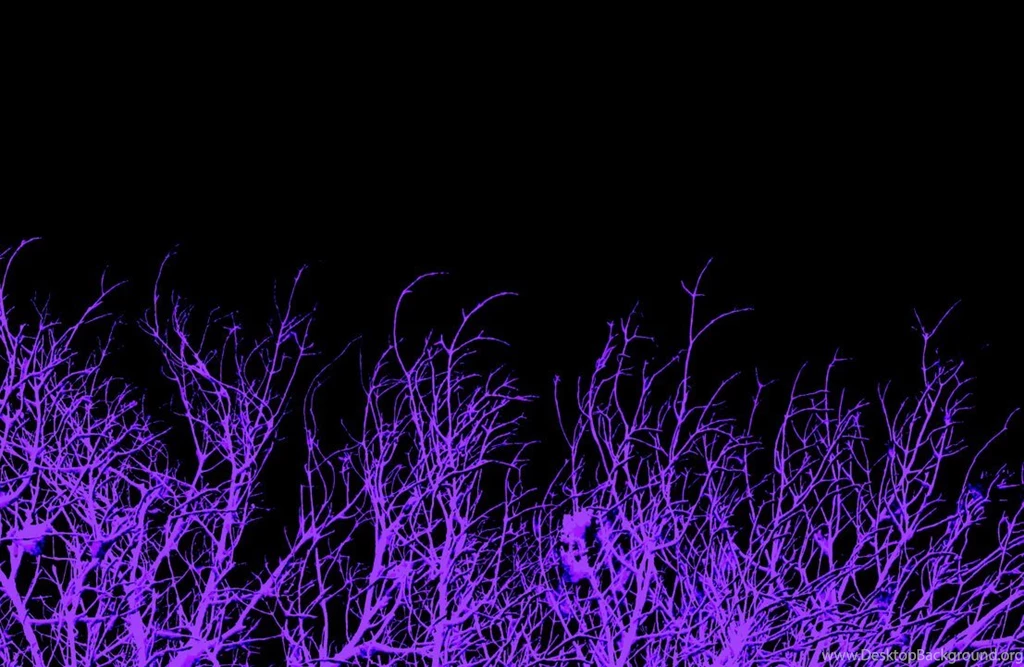 Teal And Purple