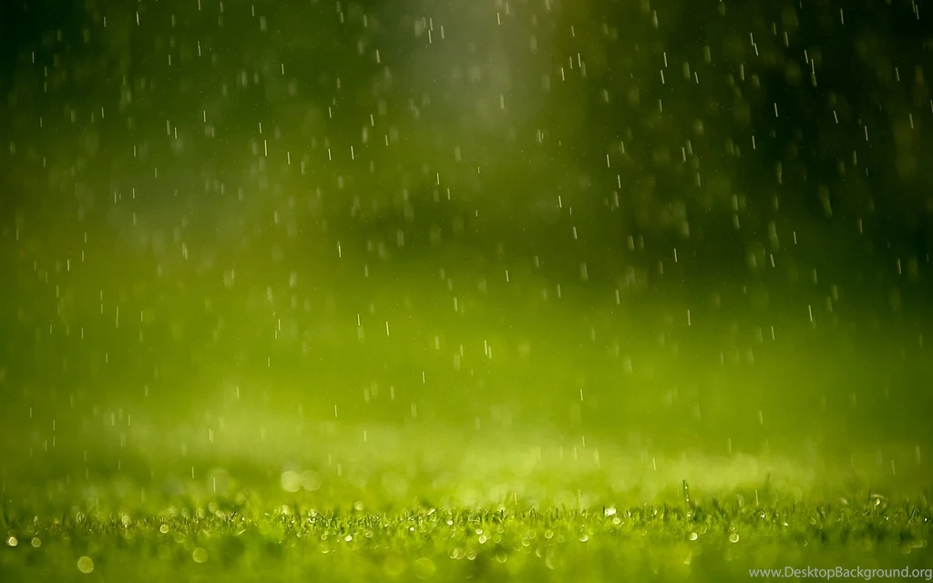 Windows, Background, Ipapun, Raining, Wallpapers (