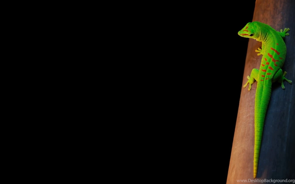 Desktop Wallpapers · Gallery · Windows 7 · Windows 7 Backgrounds ...