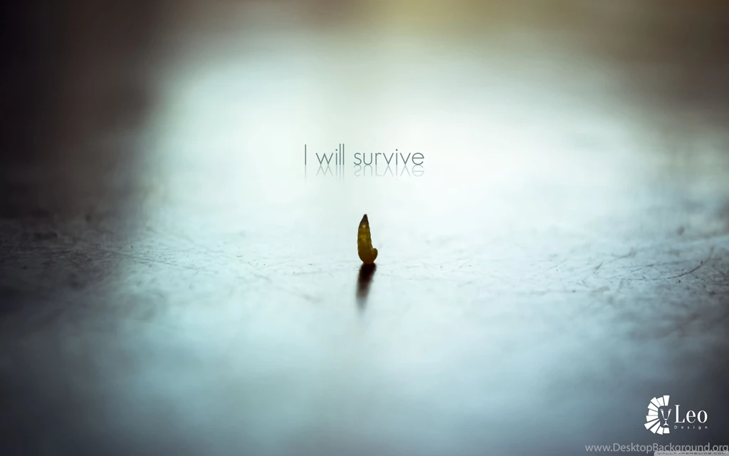 Survive Wallpapers Full HD [3840x2400]   Free Wallpapers Full Hd ...