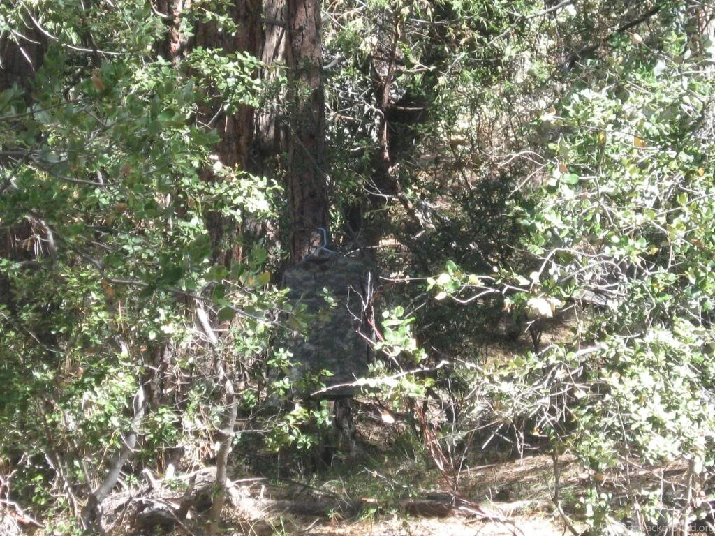 ACU Camo Question AR15.Com Archive