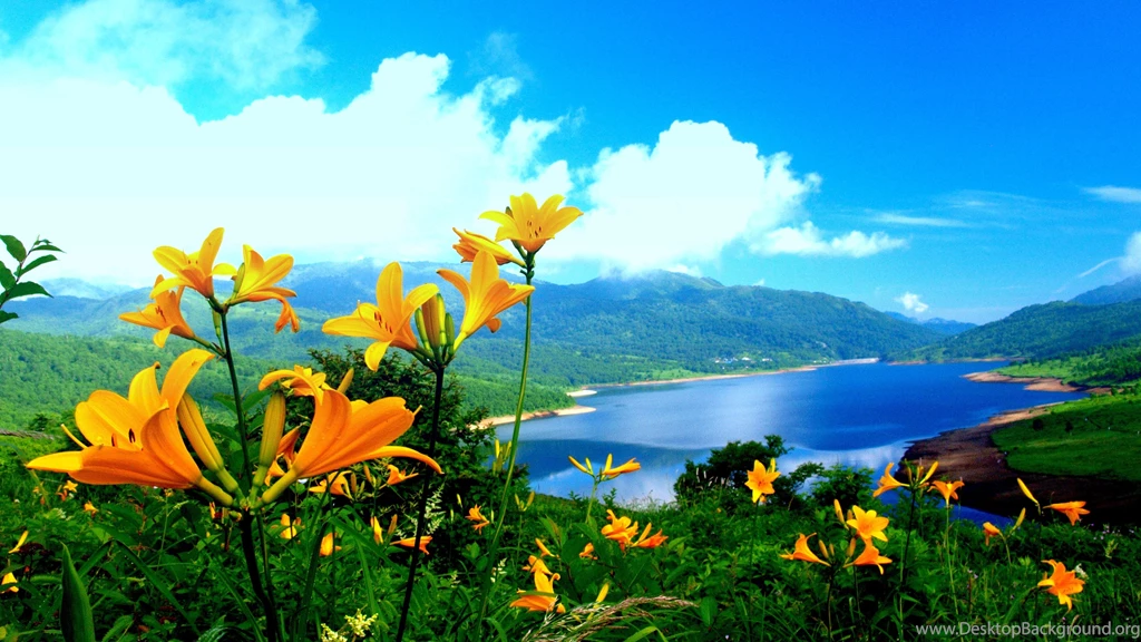 Nature Wallpaper Images,desktop Wallpapers