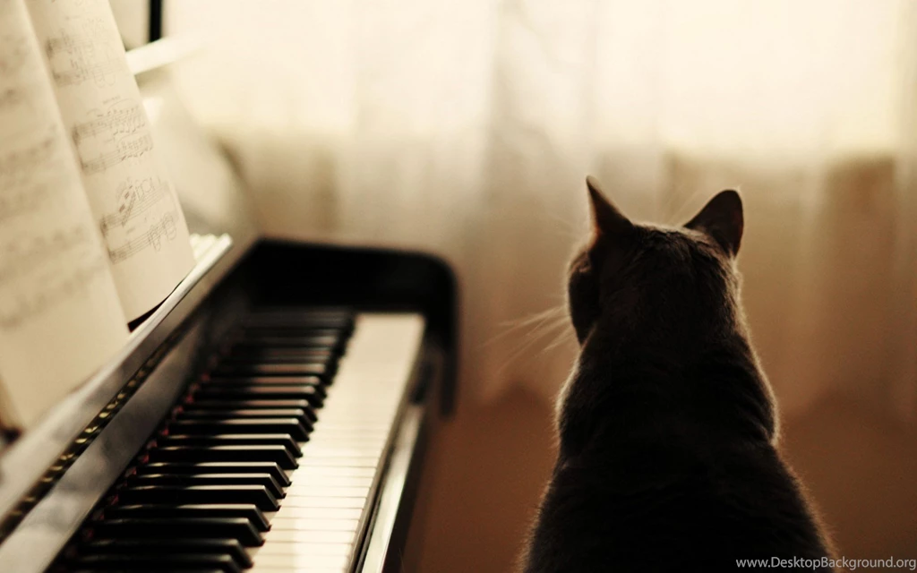 Piano Music