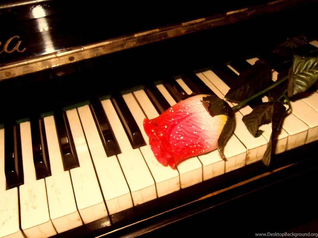 Music Piano 2592×1944 Wallpapers 1674361