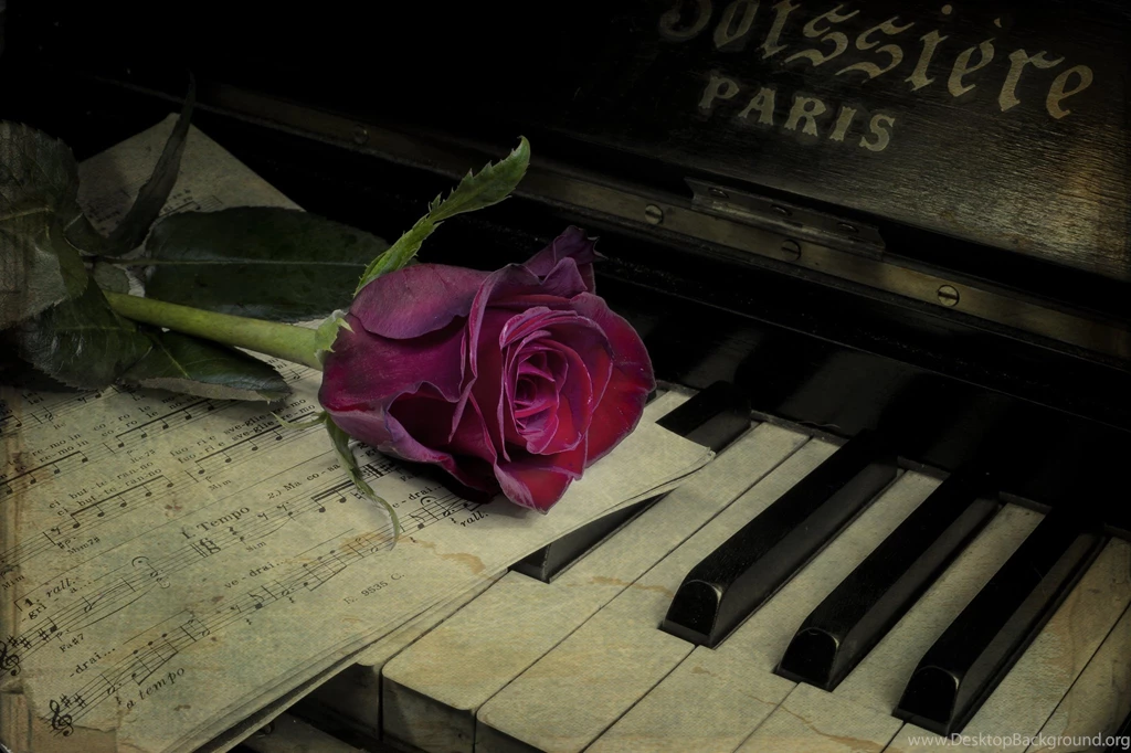 Rose Piano High Quality Resolution Wallpapers : Music Wallpapers ...