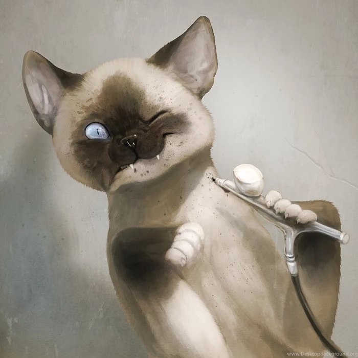 Siamesecat DeviantArt