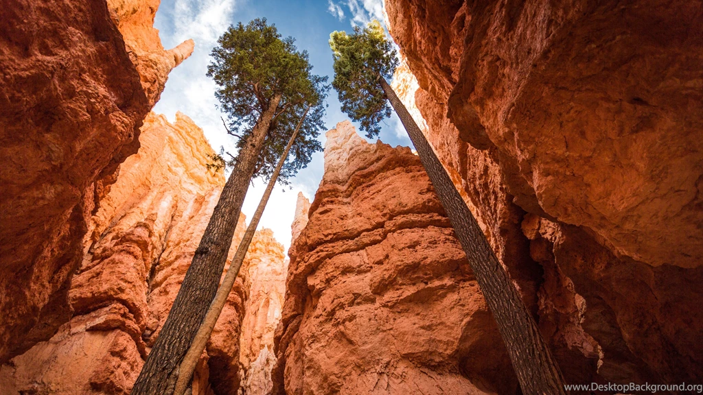 Navajo Loop Bryce Canyon Utah Ultra Hd Wallpapers Ultra High ...