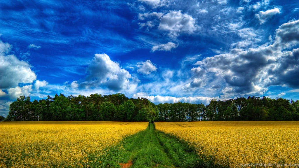 Scenic Wallpapers Collection (36+)