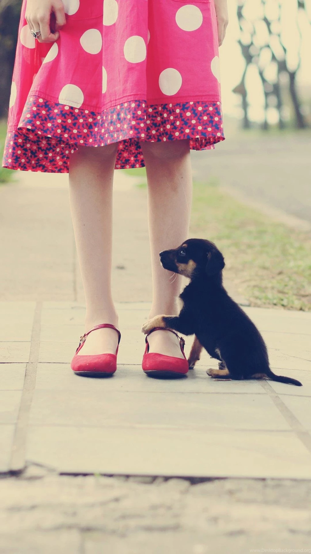 Android Phone Wallpapers Cute – Androidwalls.org