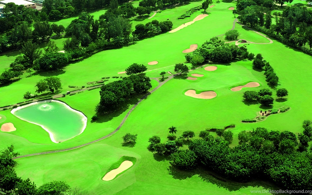 Green Nature Wallpapers