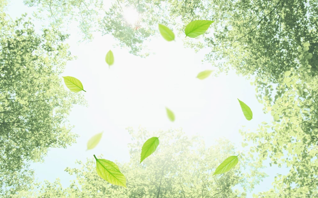 24+ Best HD Cool Green Wallpapers