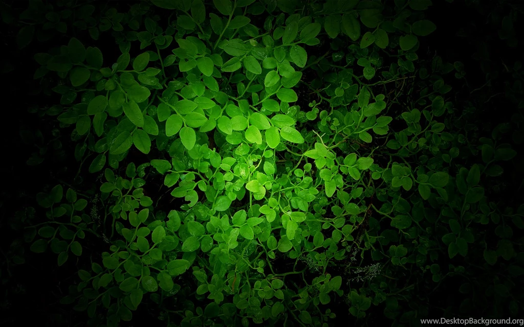 Wallpapers Of The Day: Stunning Mountains