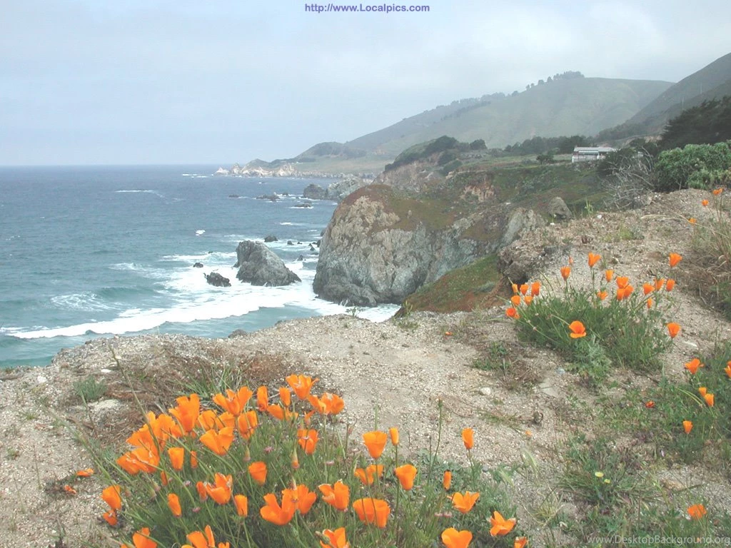 Big Sur Desktop Wallpapers