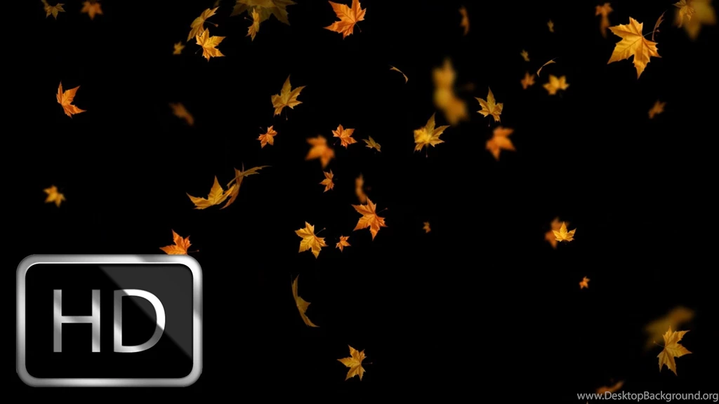 Falling Autumn Leaves Moving Backgrounds Loop YouTube