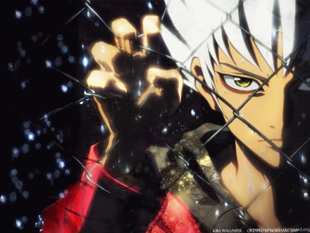 Kiba Anime Wallpapers Wallpapers Cave