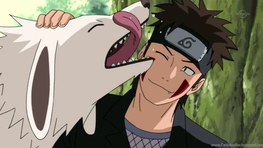 Kiba Kiba From Naruto Shippuden Wallpapers (17765914) Fanpop