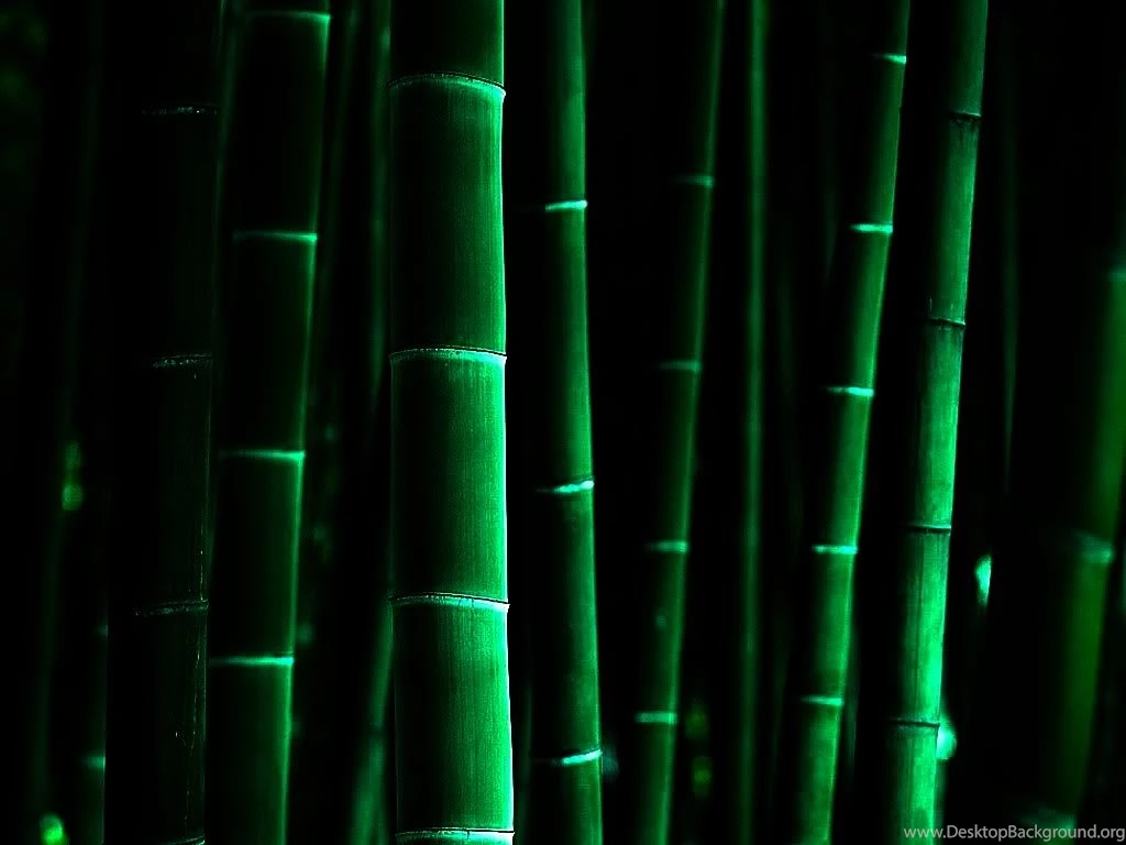 Bamboo background 1.jpg Photo By Jaxerell