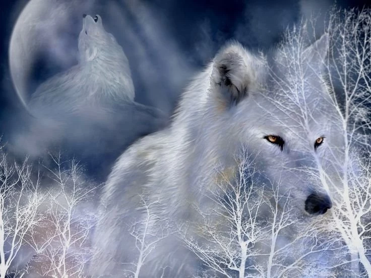 Wolf Pictures In Fantasy